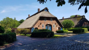Blaue Grootdoor
